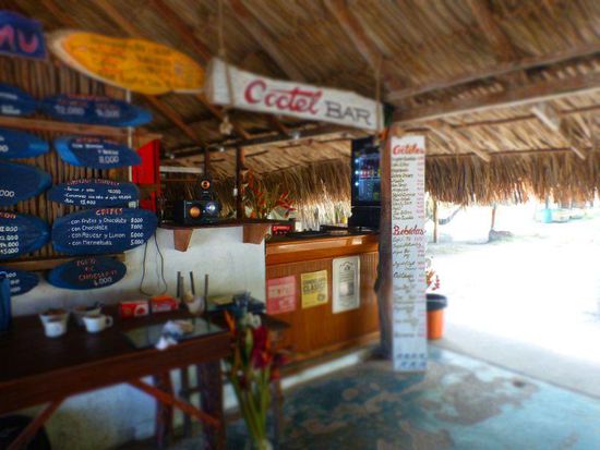 die Bar der Finca Escondida