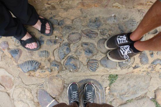 Selbst die Haussteine sind hier mit Fossilien gepflaster