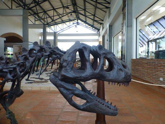 Ach ja, im naheliegenden Paläontologischen Museum gibts weitere Ungeheuer