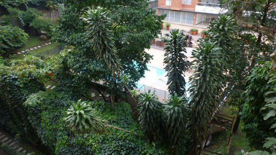 Der Blick von Moanas Apartment auf den Pool hinab. Wir haben Programm und daher leider keine Zeit, ihn zu nutzen, schade.