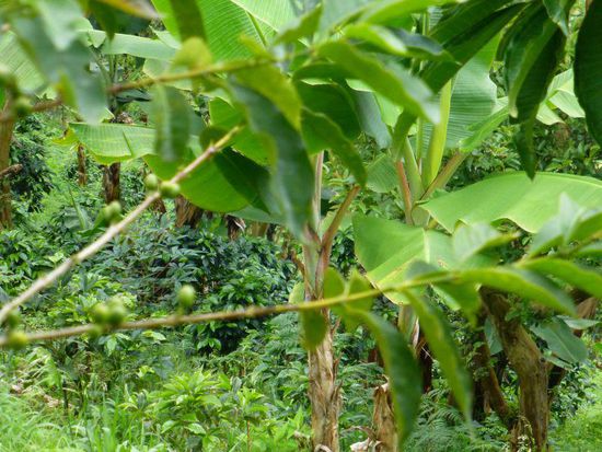 ... kann ich irgendwie nicht löschen ....