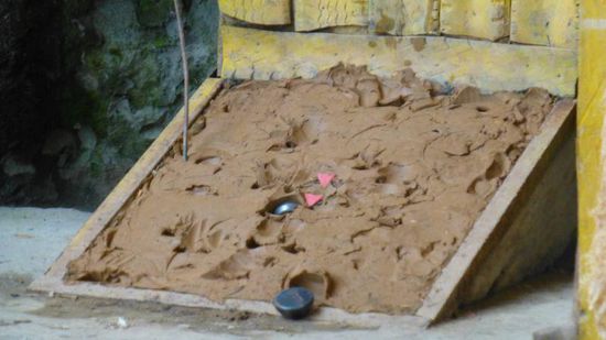 das 20m entfernte Lehmfeld, darin 2 Gewichte und 2 der Schießpulvertütchen (rot).