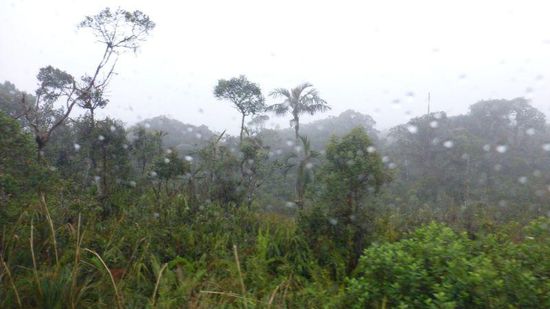fehlt nur noch ein Tyrannosaurus Rex, der um die Ecke biegt