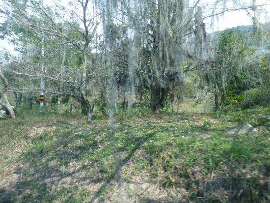 Mittelerde läßt grüßen