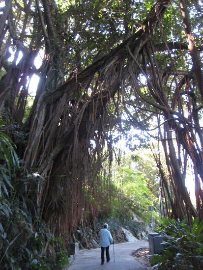 Das ist noch ein kleineres Exemplar, die gibts durchaus grösser 