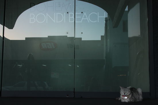 Bondi Beach Mieze mit trendigem Anhänger um den Hals 