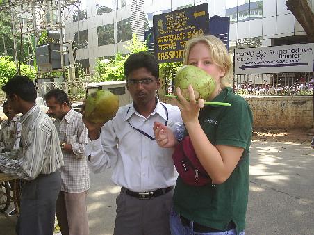 Kokosnuesse in Bangalore
