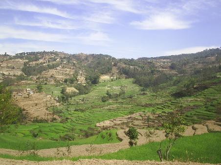 Reisplateaus in Nepal