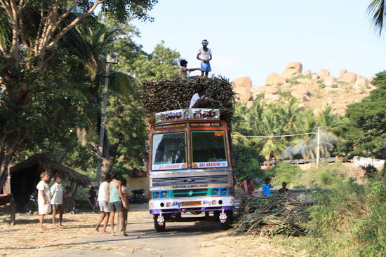 Indische Strassenverkehrsordnung:
Erlaubt ist soviel wie reinpasst.
Zuckerrohr-Transport direkt vom Feld.