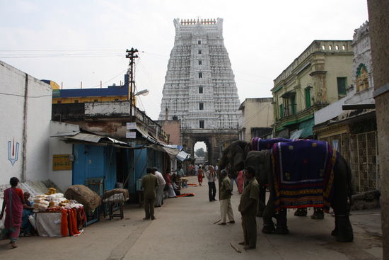 Tempel in Tirupati mit den zugehörigen Tempel-Elefanten, die einem für ein paar Rupien den Rüssel auf den Kopf legen.
Ist einfacher zu bekommen als in Rom die Hand des Papstes.