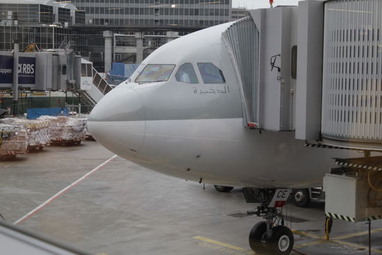 Mein Flugzeug in Frankfurt am Gate.