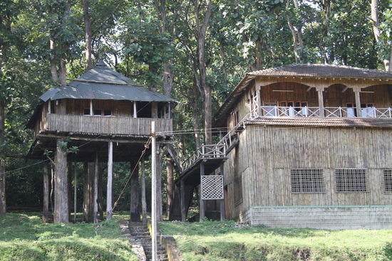 Hier geht's entspannter zu und her: Unser Treetop-Haus (links) ...