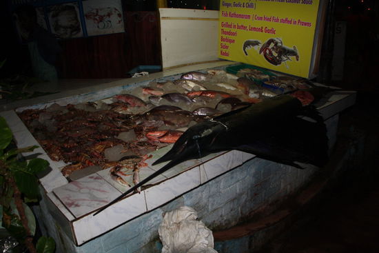 Es gibt viel Fisch zur Auswahl.