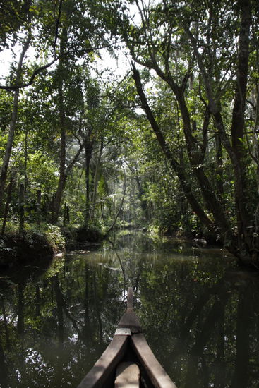 Die kleinen Kanäle.