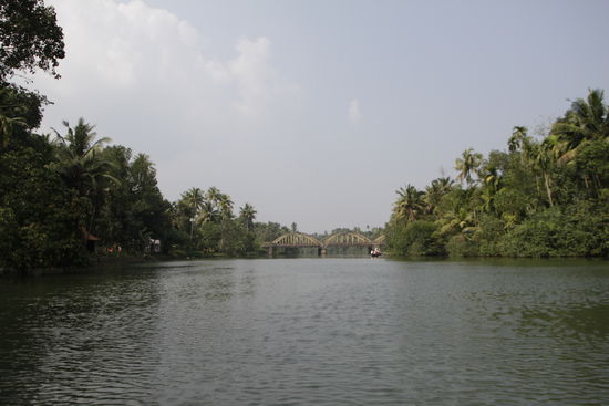 Fast wieder zurück.