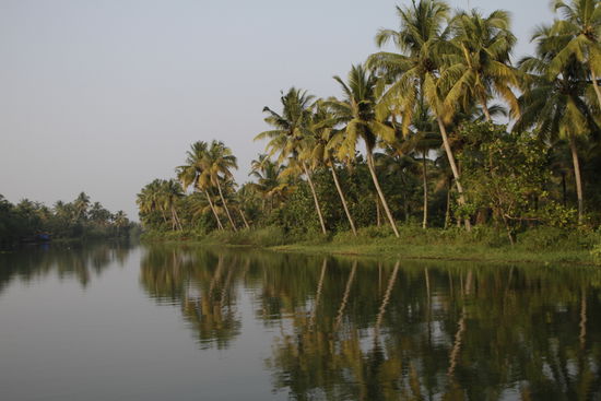 Vorbei an Palmen mit toller Spiegelung im Wasser.
