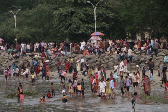 ... fast ganz alleine. Buntes Gewusel am und im Wasser.