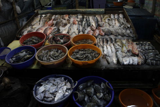 Die Fischtheke. Die Leckereien kann man gleich in einem der Restaurants um die Ecke zubereiten lassen.