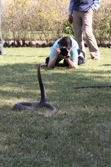 ... Aug in Aug mit Linda oder wars Aug in Linse?