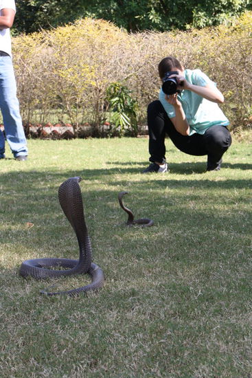 So sind wieder einige Bilder entstanden