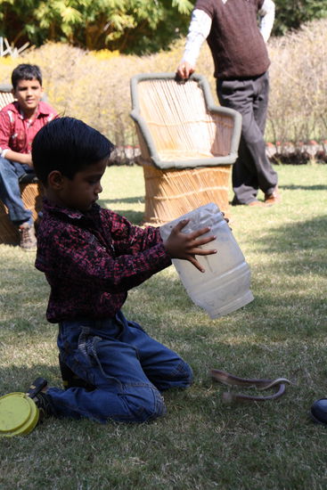 Die Schlange wird einfach aus dem Behälter geschüttlet - die Arme.