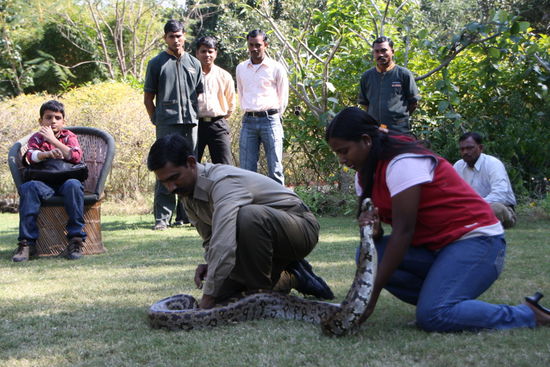Sie wird zu zweit ausgepackt.