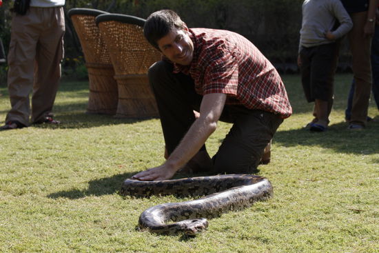 ...und hier noch der Rest.