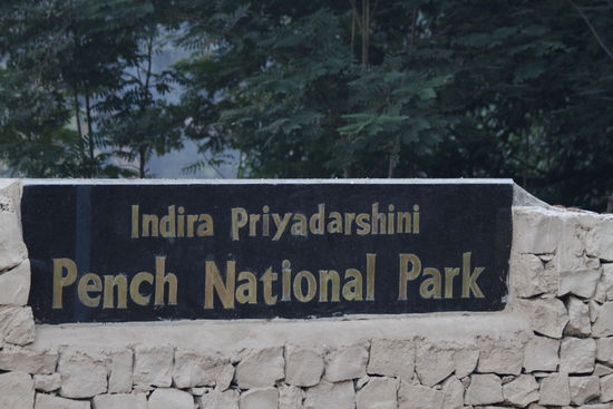 Es geht wieder in den Park.