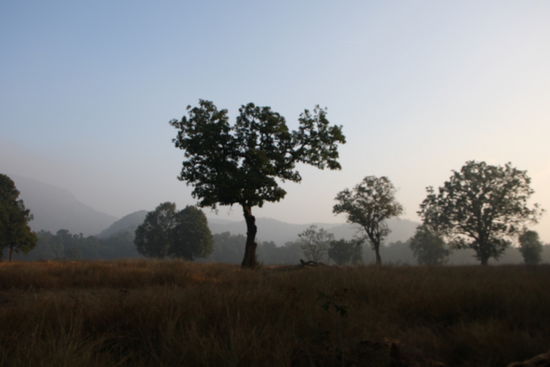 Die Landschaft - zur Abwechslung mal nach all den Tierchen. 