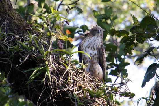 *Schief guck* Was er wohl sieht? Sieht auf jeden Fall skeptisch aus.