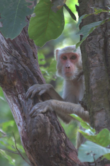 Sie verstecken sich etwas mehr.