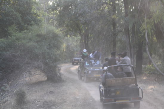 Das Jeeprennen beginnt - alle wollen den besten Platz und ganz vorne sein.