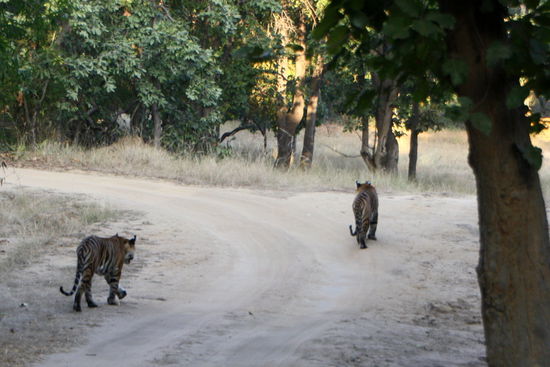 Sie waren übrigens zu zweit unterwegs. Einer dritter ist vorher abgedreht.