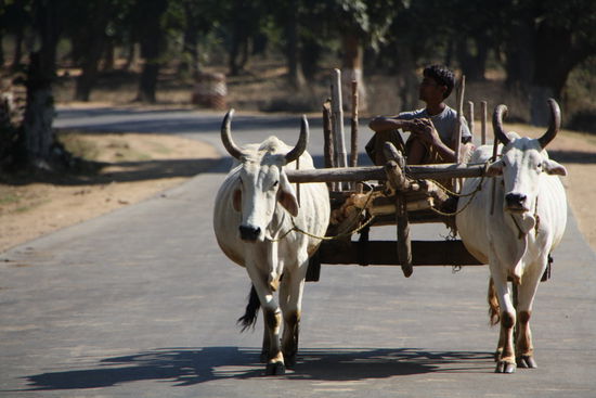 Auf dem Weg nach Umaria geht's noch gemütlich zu und her.
