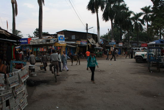 Seid froh, dass Gerueche uebers Internet nicht weiergegeben werden koennen!