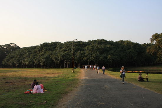 The great BanJan Tree: Sieht aus wie ein Wald...