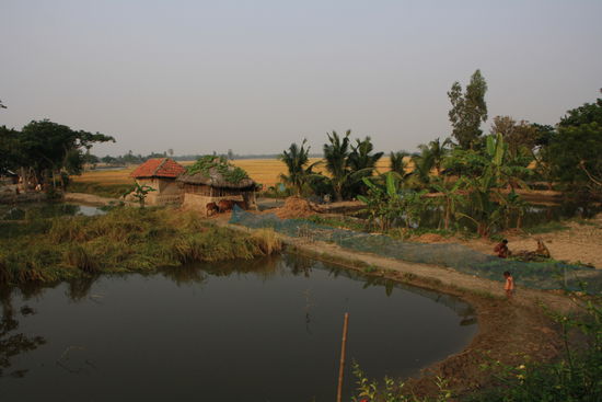 Weite Reisfelder hinter dem idyllischen Dorf.
Wurde letztes Jahr alles vom Zyklon zerstoert!