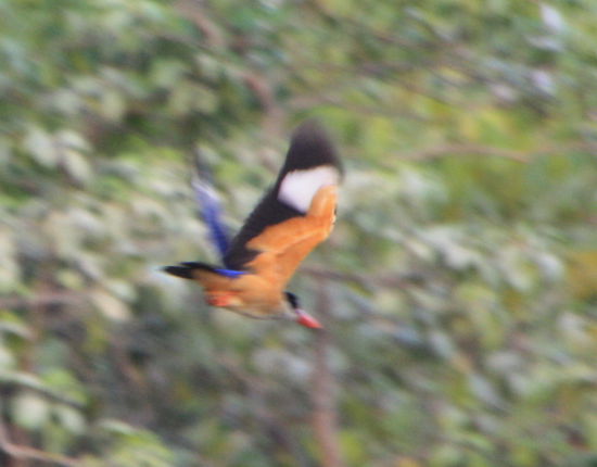 ... war schnell weg!