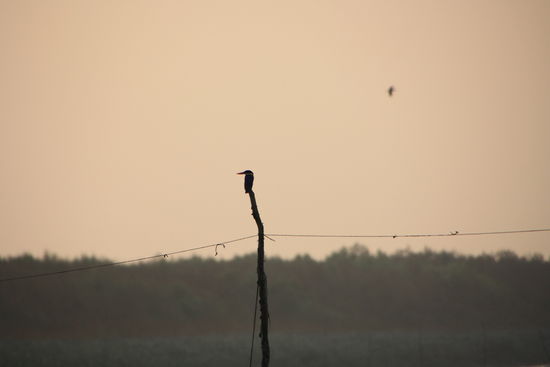 Aber da waren noch ein paar andere.