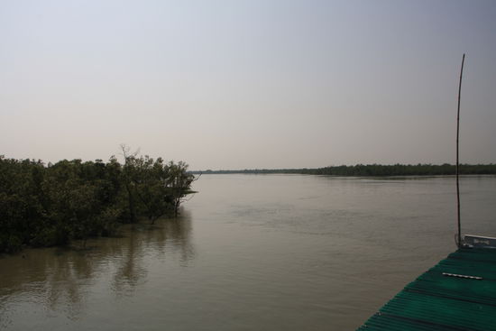 Weit verzweigte Flusslandschaft:
Besteht hauptsaechlich aus Salzwasser, das von den Gezeiten ins Delta gedrueckt wird. Suesswasser fliesst fast keins mehr nach aus dem Norden.