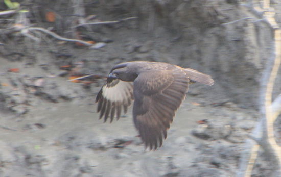 ... hat schnell das Weite gesucht.
Danke Linda uebrigens fuer die tolle Kamera - auch wenn ich sie noch nicht so im Griff habe wie du!