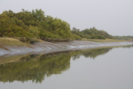 Die Flut geht zurueck, im fast unberuehrten Wasser spiegelt sich alles.