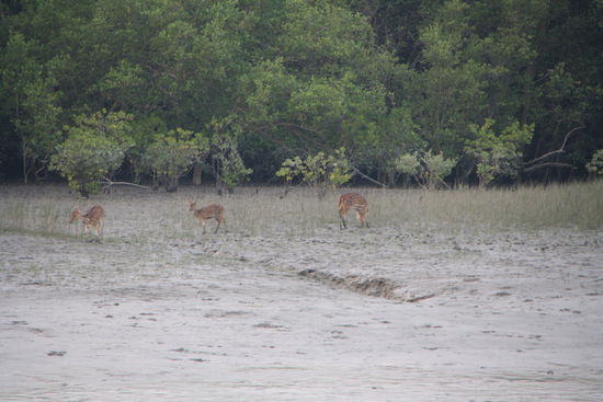 Etwas vom Groesseren was wir gesehen haben.