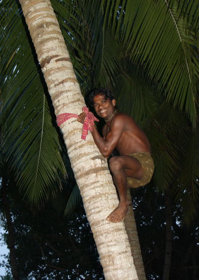 Eine Leiter ist wirklich etwas Überflüssiges.