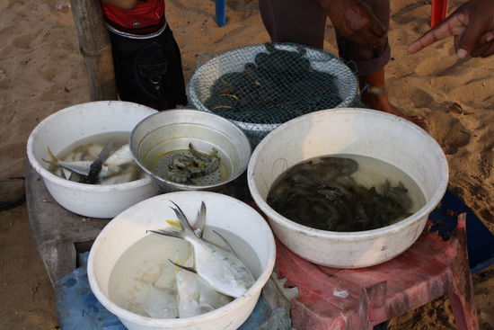 Alle diese Leckereien kann man sich gleich zubereiten lassen ...