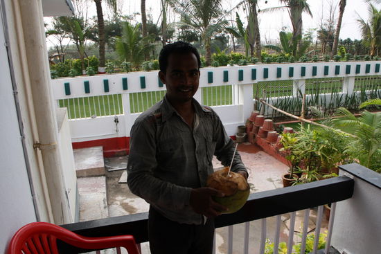 Kokosnuss-Lieferservice.