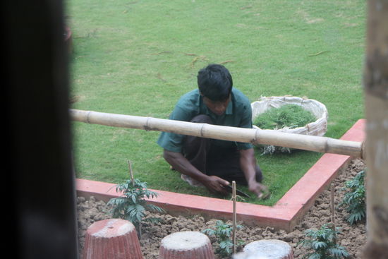 Rasen mähen: nicht nur die Ränder werden so geschnitten!