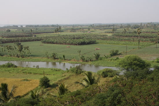 Der Tempel liegt in schöner Umgebung im riesigen Delta des Flusses Krishna, wo Reis, Bananen- und Kokospalmen wachsen.