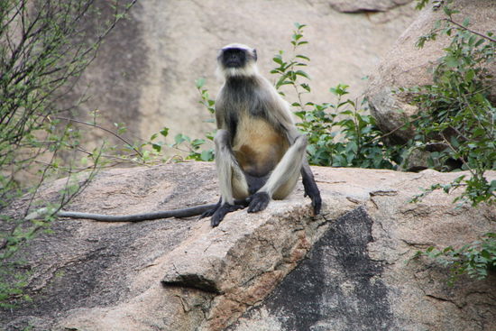 Er weiss wie's geht...