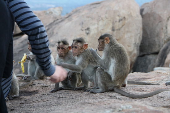 Die sehen schnell wo was zu holen ist...